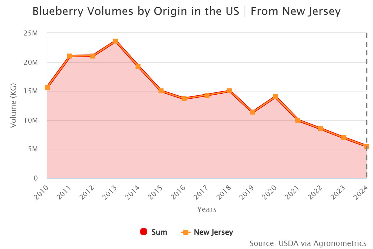 blueberry volumes by ori
